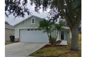MLS# MFRTB8445988, Tampa, Florida 33647