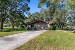 24091 MARTIN DRIVE, BROOKSVILLE, FL 34601 - MLS#MFRTB8446034