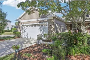 16020 STARLING CROSSING DRIVE, LITHIA, FL 33547 - MLS#MFRTB8446070