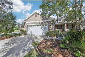 16020 STARLING CROSSING DRIVE, LITHIA, FL 33547 - MLS#MFRTB8446070