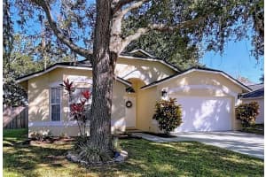 5906 ERHARDT DRIVE, RIVERVIEW, FL 33578 - MLS#MFRTB8446086