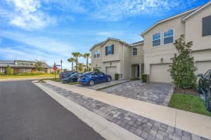2595 EVERGLADE A WAY, LUTZ, FL 33558 - MLS#MFRTB8446087