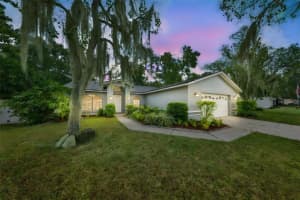 3818 BISCAY PLACE, LAND O LAKES, FL 34639 - MLS#MFRTB8446089