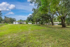9902 SEVEN ROADS PLACE, THONOTOSASSA, FL 33592 - MLS#MFRTB8446093