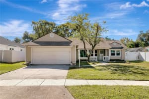 2038 Bonnie Ave, PALM HARBOR