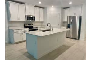 16808 FORGE SURF STREET, LAND O LAKES, FL 34638 - MLS#MFRTB8446133