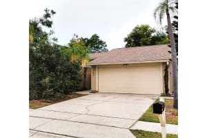 2884 CINNAMON BEAR TRAIL, PALM HARBOR, FL 34684 - MLS#MFRTB8446174