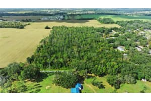 SHENNA LANE, ZEPHYRHILLS, FL 33540 - MLS#MFRTB8446178