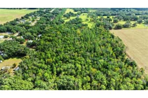 SHENNA LANE, ZEPHYRHILLS, FL 33540 - MLS#MFRTB8446178