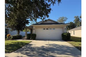 12311 BOOT SPUR WAY, SPRING HILL, FL 34610 - MLS#MFRTB8446207