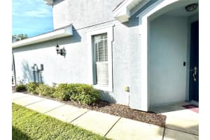 10327 WILLOW LEAF TRAIL, TAMPA, FL 33625 - MLS#MFRTB8446216