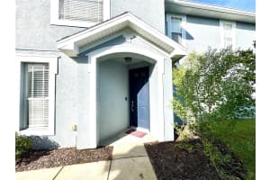 10327 WILLOW LEAF TRAIL, TAMPA, FL 33625 - MLS#MFRTB8446216