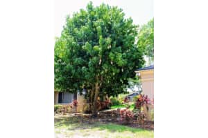 5611 SHERWOOD AVENUE, TAMPA, FL 33611 - MLS#MFRTB8446224