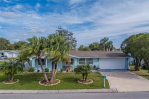2646 ALBION STREET, HOLIDAY, FL 34691 - MLS#MFRTB8446227