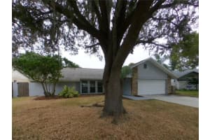 MLS# MFRTB8446240, Valrico, Florida 33596
