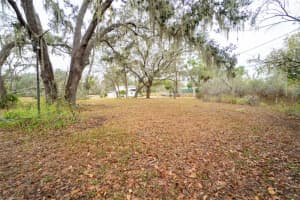 7813 VALRIE LANE, RIVERVIEW, FL 33569 - MLS#MFRTB8446242