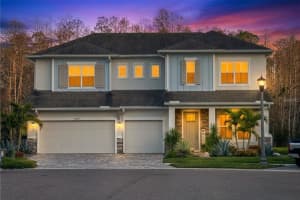 15469 Aviles Pkwy, Odessa, FL 33556, Sold 03/16/26