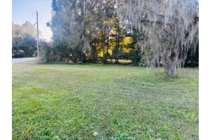 1819 UPPER ROAD, WESLEY CHAPEL, FL 33543 - MLS#MFRTB8446257