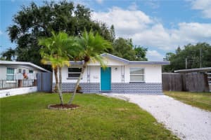718 NORTHMOOR AVENUE, ST PETERSBURG, FL 33702 - MLS#MFRTB8446270