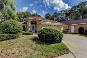 1610 CORTLEIGH DRIVE, TRINITY, FL 34655 - MLS#MFRTB8446272