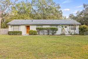 7124 HAMILTON LANE, WESLEY CHAPEL, FL 33544 - MLS#MFRTB8446283