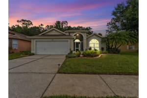1424 Firewheel Dr, WESLEY CHAPEL