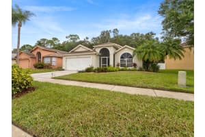 1424 FIREWHEEL DRIVE, WESLEY CHAPEL, FL 33543 - MLS#MFRTB8446312