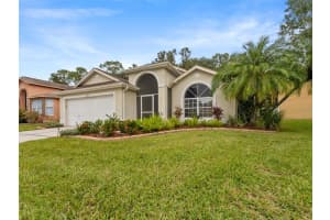 1424 FIREWHEEL DRIVE, WESLEY CHAPEL, FL 33543 - MLS#MFRTB8446312
