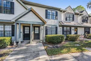 16553 BRIGADOON DRIVE, TAMPA, FL 33618 - MLS#MFRTB8446335