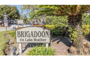 16553 BRIGADOON DRIVE, TAMPA, FL 33618 - MLS#MFRTB8446335