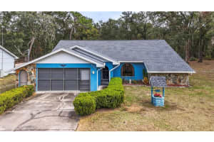 5250 LITTLE GREEN LANE, DADE CITY, FL 33523 - MLS#MFRTB8446443