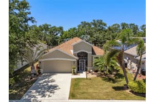 4131 101ST AVENUE, PARRISH, FL 34219 - MLS#MFRTB8446447