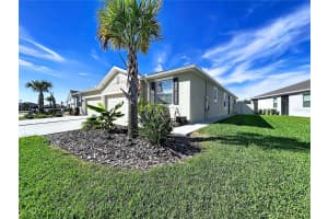 31130 MANGO FADE WAY, SAN ANTONIO, FL 33576 - MLS#MFRTB8446477