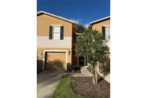 4312 SILVER FALLS DR, LAND O LAKES, FL 34639 - MLS#MFRTB8446492