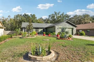 5016 SWALLOW DRIVE, LAND O LAKES, FL 34639 - MLS#MFRTB8446502