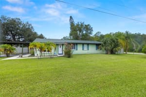 18218 GRIFFITH ROAD, LUTZ, FL 33548 - MLS#MFRTB8446512