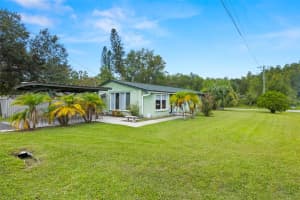 18218 GRIFFITH ROAD, LUTZ, FL 33548 - MLS#MFRTB8446512