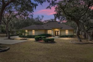 10921 MCMULLEN ROAD, RIVERVIEW, FL 33569 - MLS#MFRTB8446513