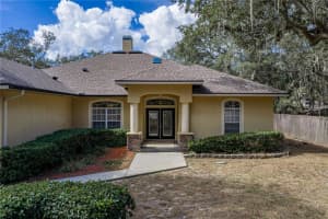 10921 MCMULLEN ROAD, RIVERVIEW, FL 33569 - MLS#MFRTB8446513