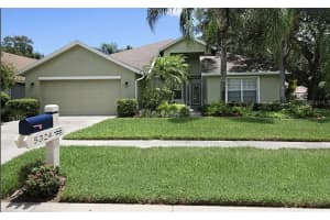 5324 Cottonwood Tree Cir, VALRICO