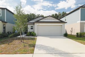 12609 MAPLE BONSAI DRIVE, RIVERVIEW, FL 33579 - MLS#MFRTB8446608