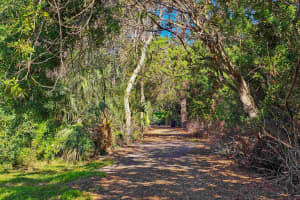 1343 HIGHLAND AVENUE, TARPON SPRINGS, FL 34689 - MLS#MFRTB8446624