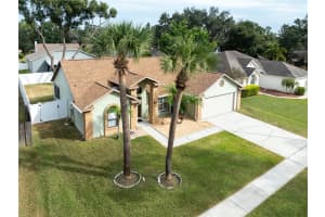 3603 TREELINE DRIVE, VALRICO, FL 33596 - MLS#MFRTB8446627