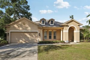 2108 Fawn Meadow Dr, VALRICO 2108 Fawn Meadow Dr, VALRICO