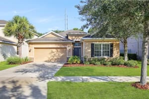 11403 THAMES FARE WAY, LITHIA, FL 33547 - MLS#MFRTB8446657