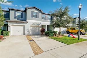 23217 WILLOW GLEN WAY, LUTZ, FL 33549 - MLS#MFRTB8446732