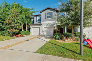 23217 WILLOW GLEN WAY, LUTZ, FL 33549 - MLS#MFRTB8446732