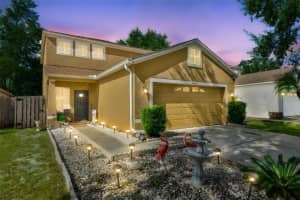 8446 QUARTER HORSE DRIVE, RIVERVIEW, FL 33578 - MLS#MFRTB8446739