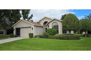 11415 Kingstree Ct, SPRING HILL 11415 Kingstree Ct, SPRING HILL