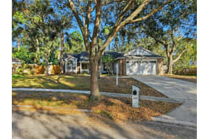 807 Edgehill Dr, PALM HARBOR 807 Edgehill Dr, PALM HARBOR